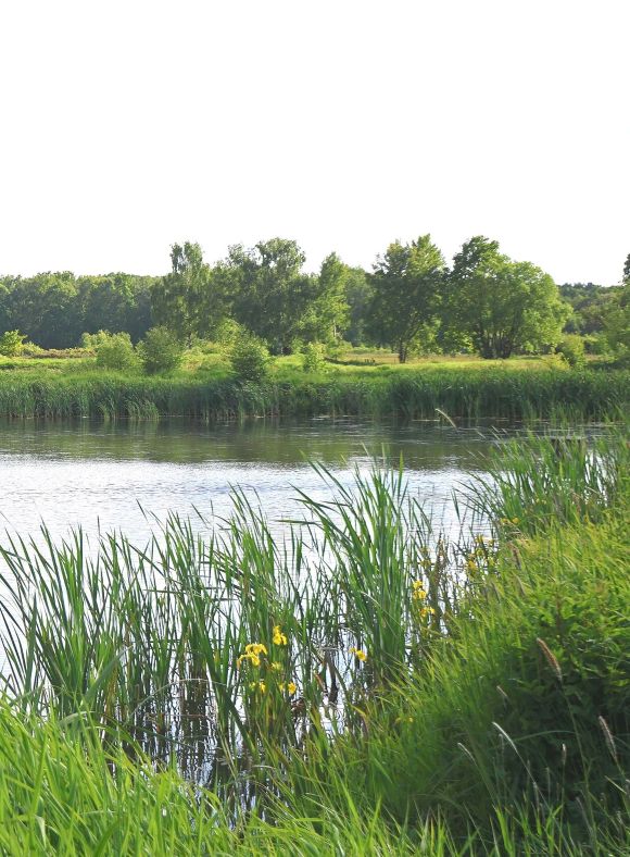 This spring is showing that targeted habitat restoration measures are gradually transform